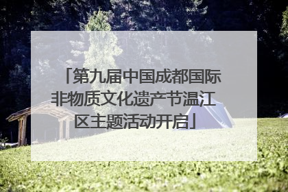 第九届中国成都国际非物质文化遗产节温江区主题活动开启