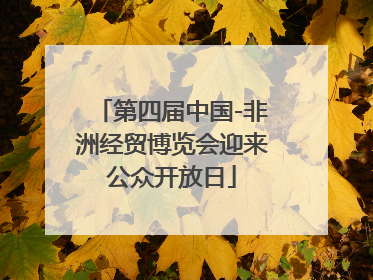 第四届中国-非洲经贸博览会迎来公众开放日