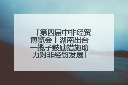 第四届中非经贸博览会丨湖南出台一揽子鼓励措施助力对非经贸发展