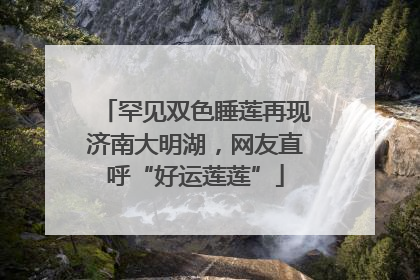 罕见双色睡莲再现济南大明湖，网友直呼“好运莲莲”