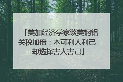 美加经济学家谈美钢铝关税加倍：本可利人利己 却选择害人害己
