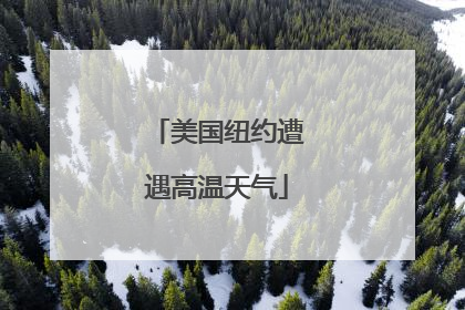 美国纽约遭遇高温天气