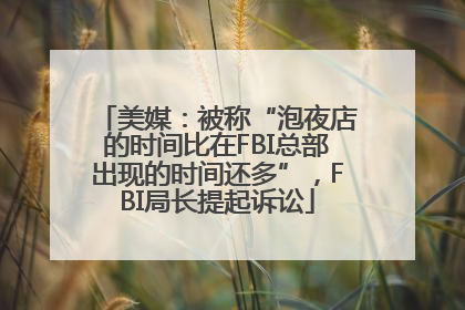 美媒：被称“泡夜店的时间比在FBI总部出现的时间还多”，FBI局长提起诉讼