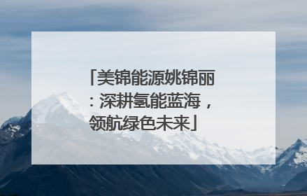 美锦能源姚锦丽：深耕氢能蓝海，领航绿色未来