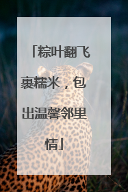 粽叶翻飞裹糯米，包出温馨邻里情