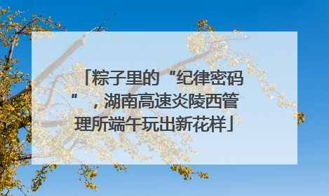 粽子里的“纪律密码”，湖南高速炎陵西管理所端午玩出新花样