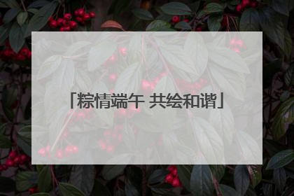 粽情端午 共绘和谐