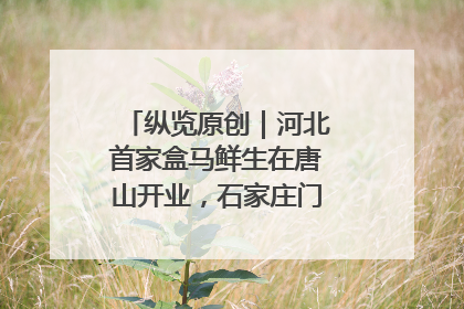纵览原创｜河北首家盒马鲜生在唐山开业，石家庄门店预计8月开业