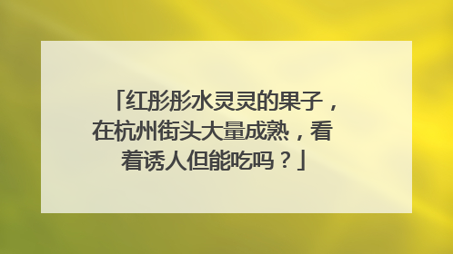 红彤彤水灵灵的果子，在杭州街头大量成熟，看着诱人但能吃吗？
