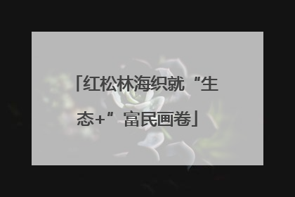 红松林海织就“生态+”富民画卷