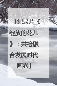 纪录片《绽放的花儿》：共绘融合发展时代画卷