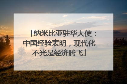 纳米比亚驻华大使：中国经验表明，现代化不光是经济腾飞