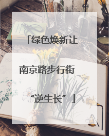 绿色焕新让南京路步行街“逆生长”