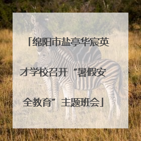 绵阳市盐亭华宸英才学校召开“暑假安全教育”主题班会