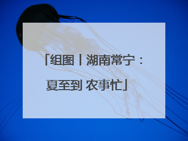组图丨湖南常宁：夏至到 农事忙