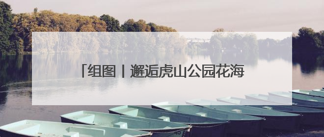 组图丨邂逅虎山公园花海芬芳 享受初夏限定美好