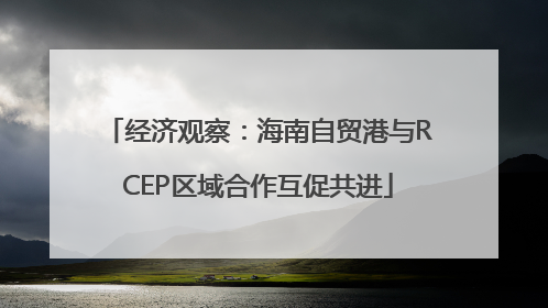 经济观察：海南自贸港与RCEP区域合作互促共进