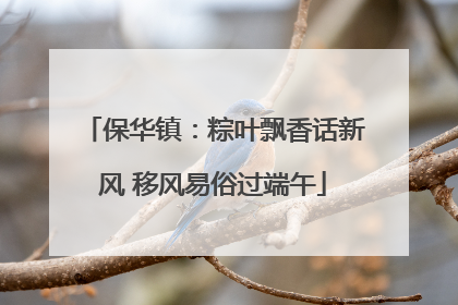保华镇：粽叶飘香话新风 移风易俗过端午