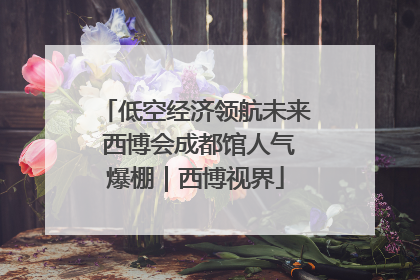 低空经济领航未来 西博会成都馆人气爆棚｜西博视界
