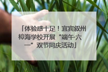 体验感十足！宜宾叙州樟海学校开展“端午·六一”双节同庆活动