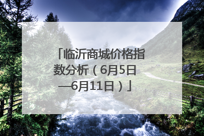 临沂商城价格指数分析（6月5日—6月11日）