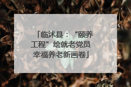 临沭县：“颐养工程”绘就老党员幸福养老新画卷