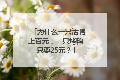 为什么一只活鸭上百元，一只烤鸭只要25元？