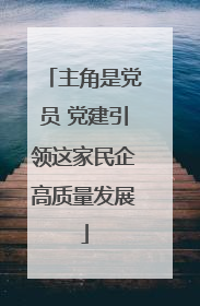 主角是党员 党建引领这家民企高质量发展