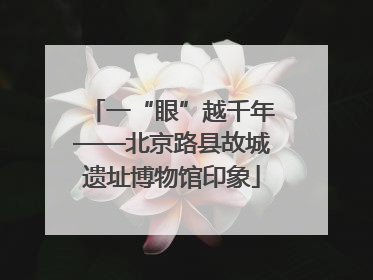 一“眼”越千年——北京路县故城遗址博物馆印象