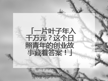 一片叶子年入千万元？这个日照青年的创业故事藏着答案！