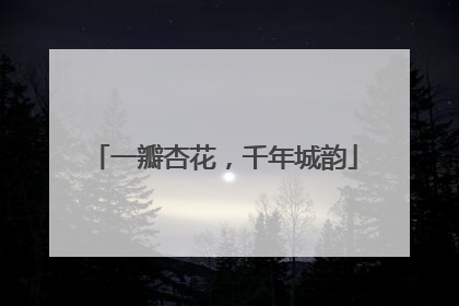 一瓣杏花，千年城韵