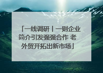 一线调研丨一则企业简介引发强强合作 老外贸开拓出新市场