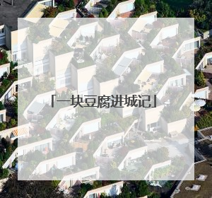 一块豆腐进城记