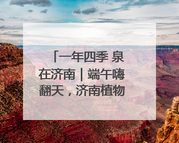 一年四季 泉在济南｜端午嗨翻天，济南植物园成亲子户外热门打卡地