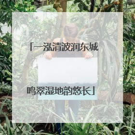 一泓清波润东城 鸣翠湿地韵悠长