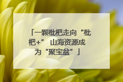 一颗枇杷走向“枇杷+” 山海资源成为“聚宝盆”
