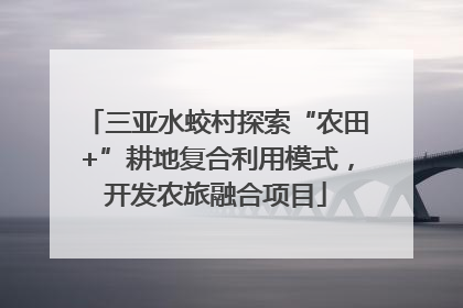 三亚水蛟村探索“农田+”耕地复合利用模式，开发农旅融合项目