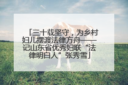 三十载坚守，为乡村妇儿摆渡法律方舟——记山东省优秀妇联“法律明白人”张秀雪