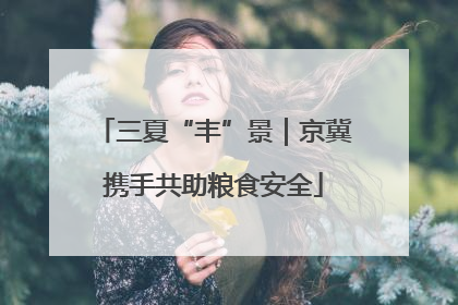 三夏“丰”景｜京冀携手共助粮食安全