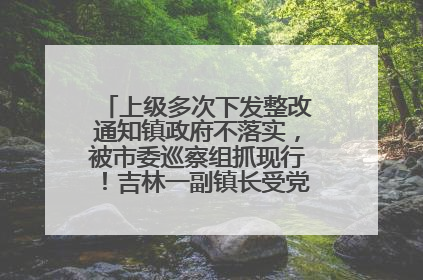上级多次下发整改通知镇政府不落实，被市委巡察组抓现行！吉林一副镇长受党内警告处分