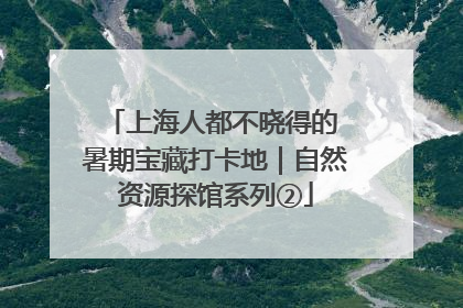 上海人都不晓得的 暑期宝藏打卡地｜自然资源探馆系列②