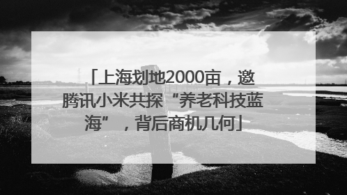 上海划地2000亩，邀腾讯小米共探“养老科技蓝海”，背后商机几何