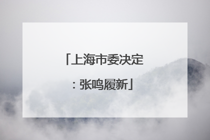 上海市委决定：张鸣履新