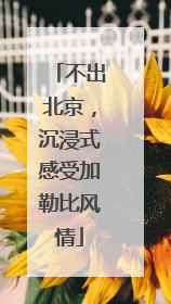 不出北京，沉浸式感受加勒比风情