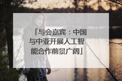与会嘉宾：中国与中亚开展人工智能合作前景广阔