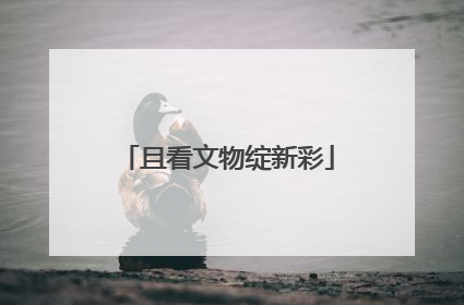 且看文物绽新彩
