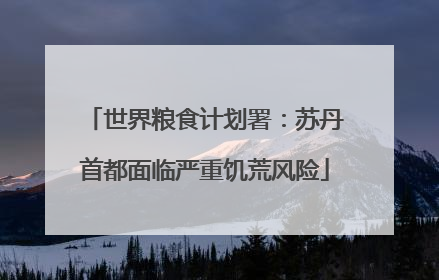 世界粮食计划署：苏丹首都面临严重饥荒风险