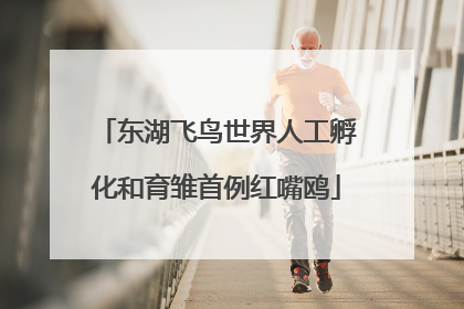 东湖飞鸟世界人工孵化和育雏首例红嘴鸥