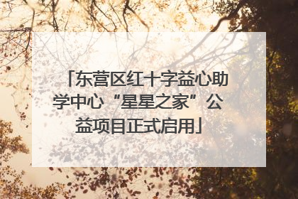 东营区红十字益心助学中心“星星之家”公益项目正式启用