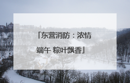 东营消防：浓情端午 粽叶飘香
